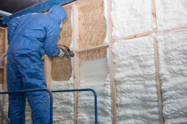 Best Fireproof Insulation  in Ninety Six, SC